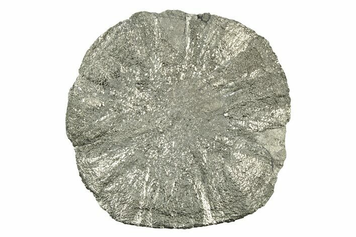 Radiant Pyrite Sun - Sparta, Illinois #342529